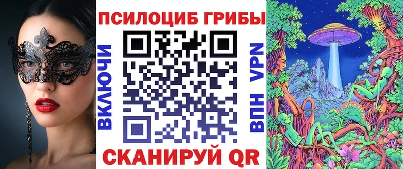 купить наркотик  Онега  ОМГ ОМГ рабочий сайт  Галлюциногенные грибы MAGIC MUSHROOMS 