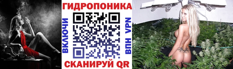 Бошки Шишки White Widow  кракен ссылки  Онега 